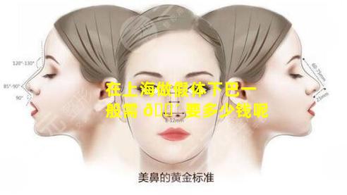 在上海做假体下巴一般需 🐴 要多少钱呢